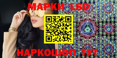 МДПВ Новозыбков
