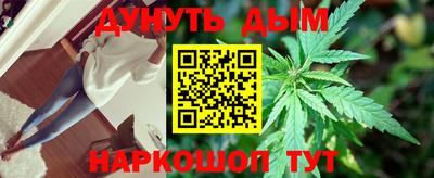 МДПВ Новозыбков