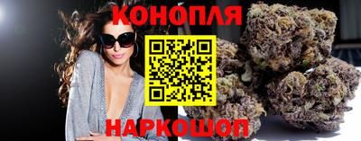 шишки Нарткала
