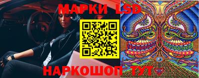 шишки Нарткала